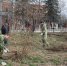 Более 3500 тысяч человек приняли участие в субботнике в Навлинском районе Брянщины - Газета Почепское слово