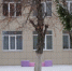 Новые пристройки появятся в детсадах Навли и Клинцов, что на Брянщине - Газета Почепское слово