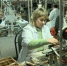 На Брянщине стартовала программа профобучения - Газета Почепское слово