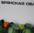 Брянская область за последние годы достигла внушительных успехов в сфере сельского хозяйства, пищевой, и перерабатывающей промышленности - Газета Почепское слово