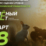 Брянцев приглашают принять участие в экологическом тестировании «Зелёный Зачёт» - Газета Почепское слово