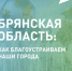 Две недели осталось до окончания голосования за объекты благоустройства в Брянской области - Газета Почепское слово